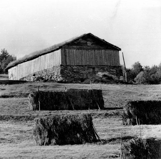 Ladugård i Klimpfjäll, 1958.