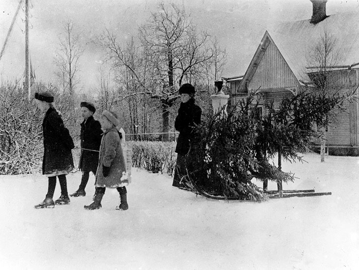 Robertsfors bruk, julen 1911. Hanna Grapengiess...