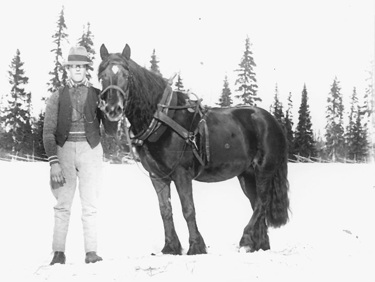 Engelbert Bergman med hästen sin.