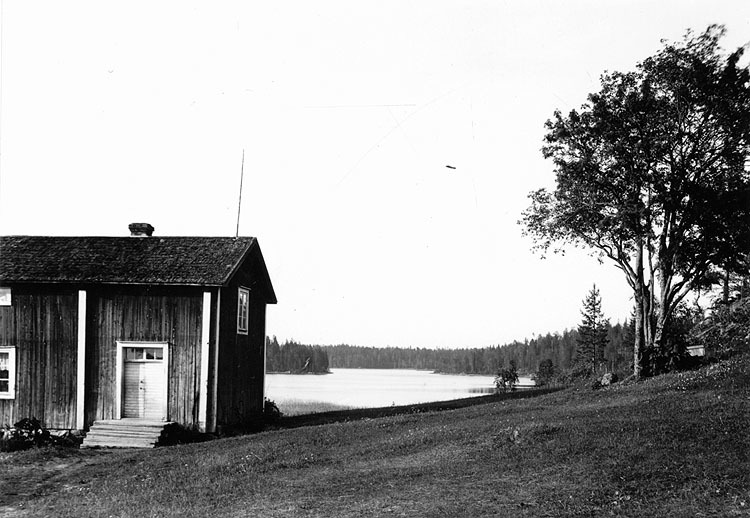 Tryssjömarken med Tryssjön i bakgrunden, 1926. ...