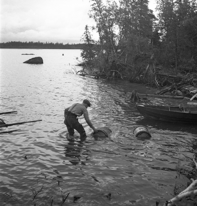 Tjärtunnor vid Hjukensjöns strand Åmsele 1936