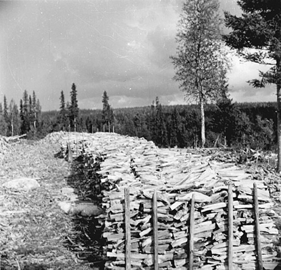 Tjärvedsupplag i Mötingselberget, 1950.