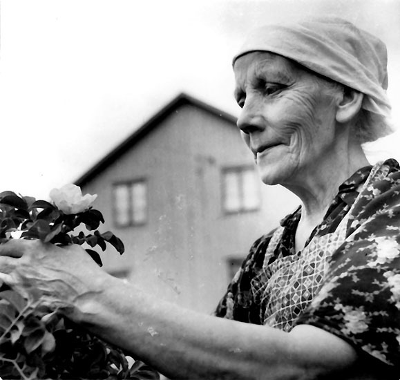 Fru Olga Nilsson, Hacksjö.