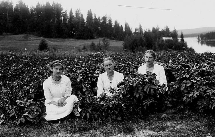 Tekla Holmberg, Ester Andersson, Lina Holmberg.