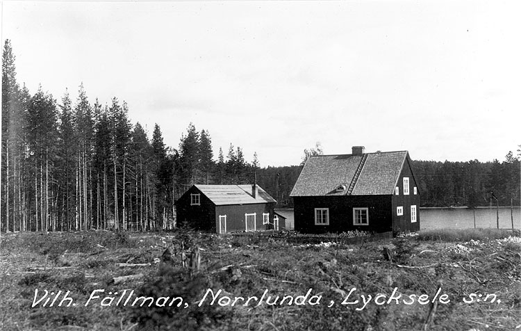 Vilhelm Fällman Norrlunda Lycksele socken.