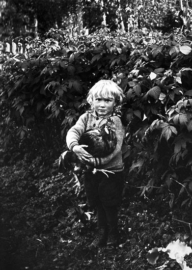 Göte Dahlberg, tre år gammal 1928, son till E A...
