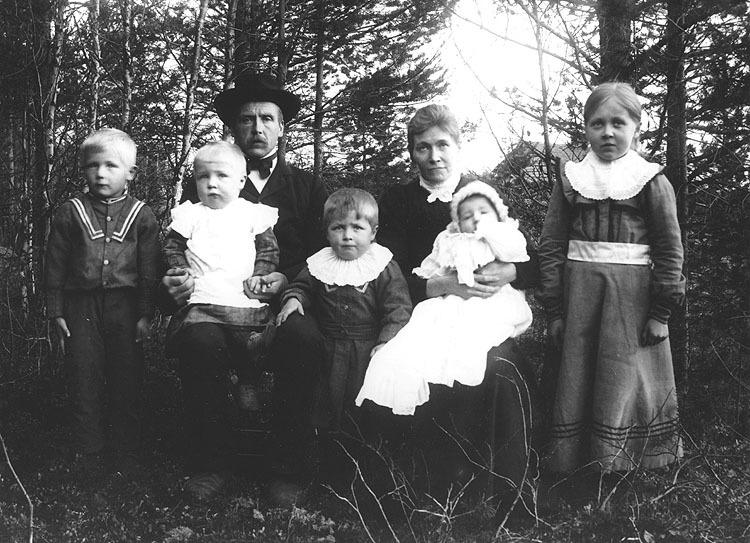 Familjen Robert Johansson, Provåker.