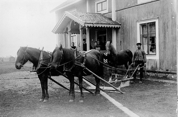 Tallsjö, omkring 1910. Borgströms gård. Borgstr...