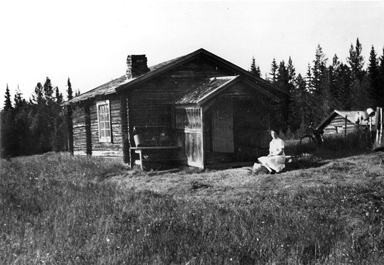 Edströms fäbodstuga, flyttad 1881 från Kulterkö...