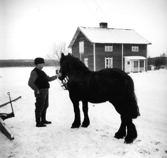Johan Säfström  med häst framför sin gård.