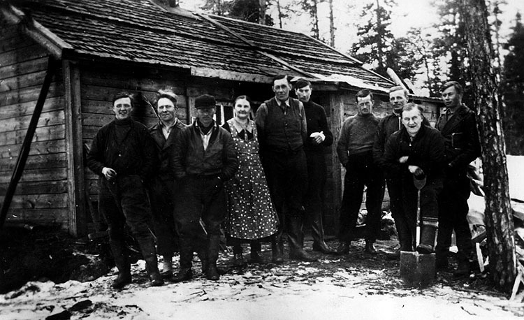 Skogskoja på Högås Vinter 1938.