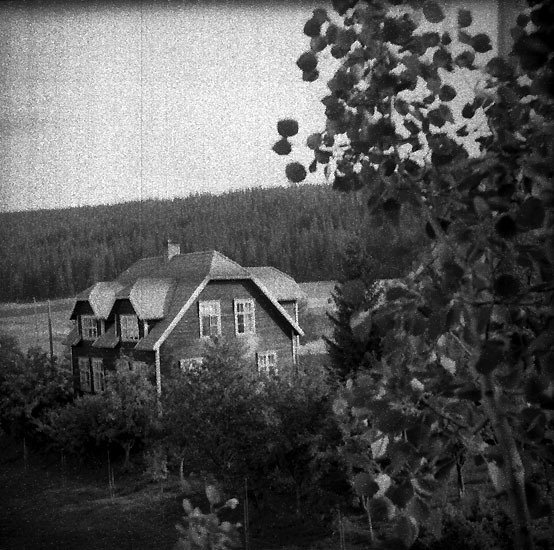 Dahlströms hus fotad från asp.