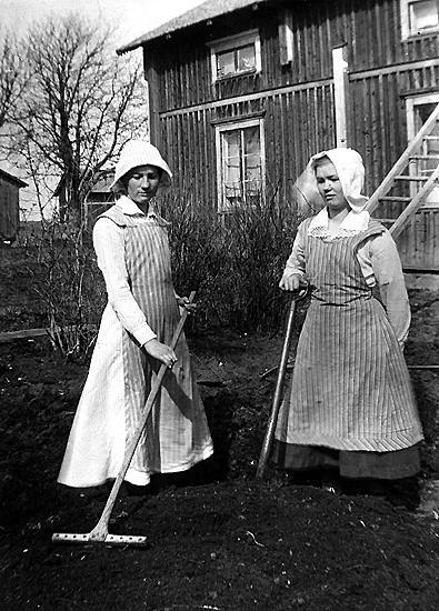 Gerda och Jenny ordnar i trädgårdslandet. Långa...