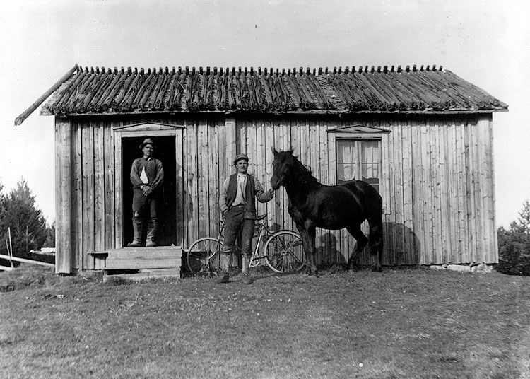 Karl och Helmer Olofsson Rönnliden, med en häst...