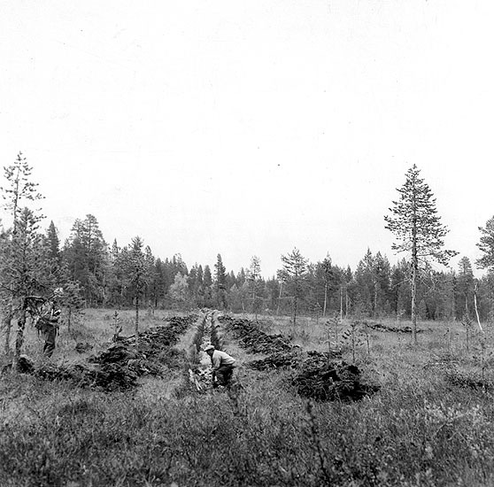 Skogsdike demonstreras av Tycko Holmgren.