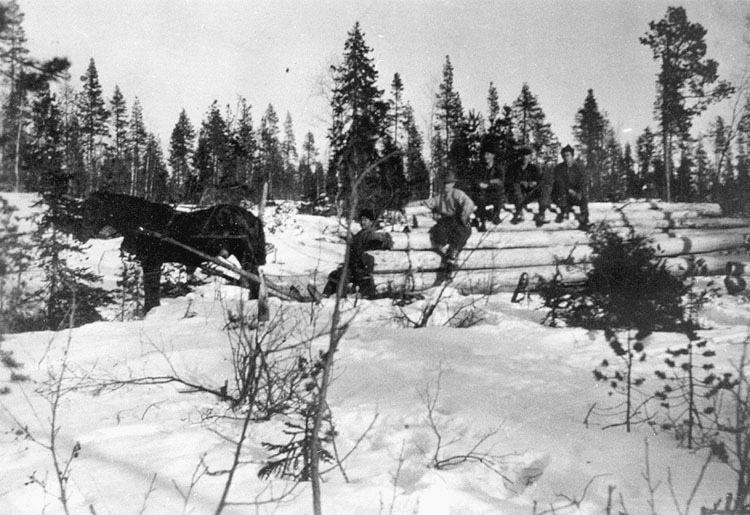Timmerkörning år 1932 vid Böjkaberget. Alexande...