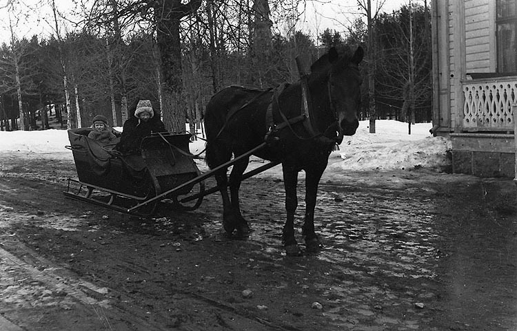 Hästen Tindran med körsven Ingeborg Grapengiess...