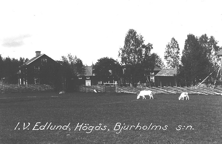 I. V. Edlunds gård, Högås.
