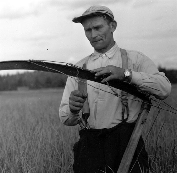 Gustav Hansson, slåtterarbetare i Djursjö.