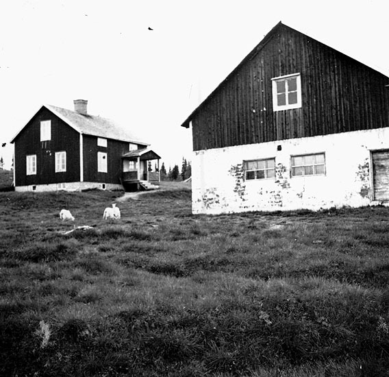 Fritiof Risbergs gård i Risträsk.