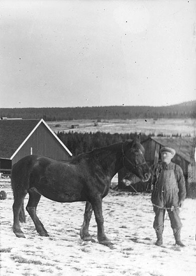 Nils Sjölander, Svanabyn, fotograferad på sonen...
