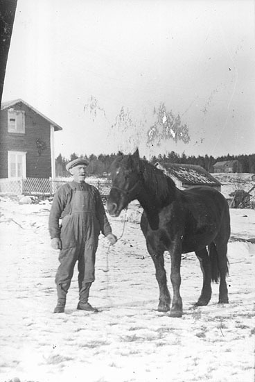 Nils Sjölander, Svanabyn, fotograferad på sonen...