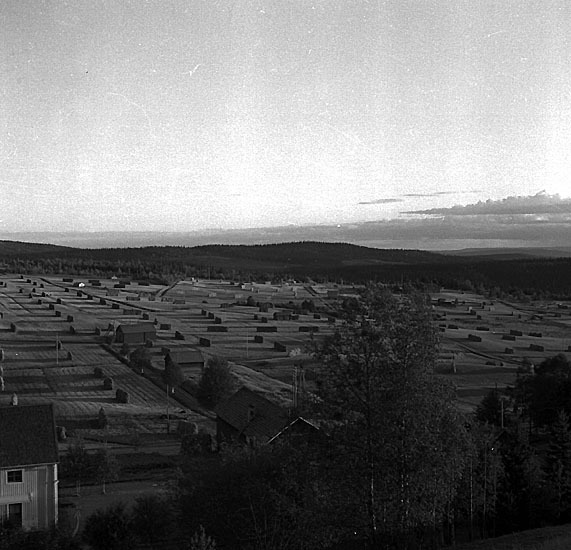 Latikberg, panoramabild, 1954.
