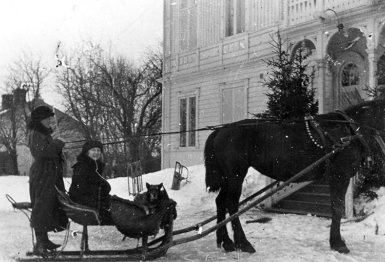 Lilla kappsläden med hästen Cajanus 1922.