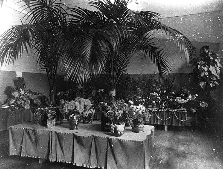 Trädgårdsutställning i Umeå 1926 anordnad av Hu...