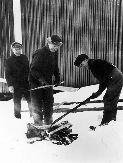 Magnus Karlsson, Hugo Åström och Ernst Åström t...