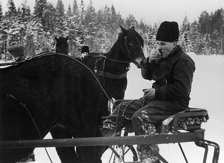 Konrad Boström vid travtävling på Ängessjön.