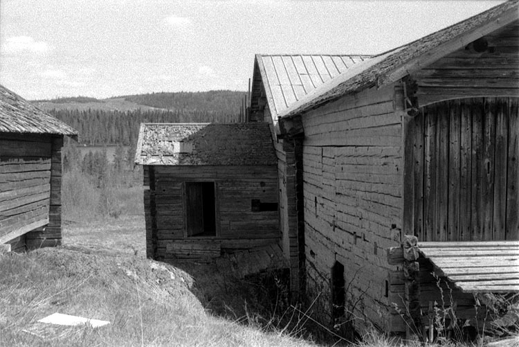 Foto: B-Å Johansson, 5/6-1973.