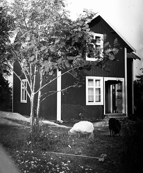 Elof Olofssons gård, Rosengård, Bygdsiljum.