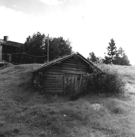 A. Johanssons gård. Källarboden.