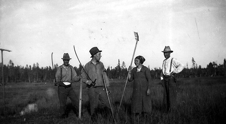 Slåtterarbetare omkring 1925