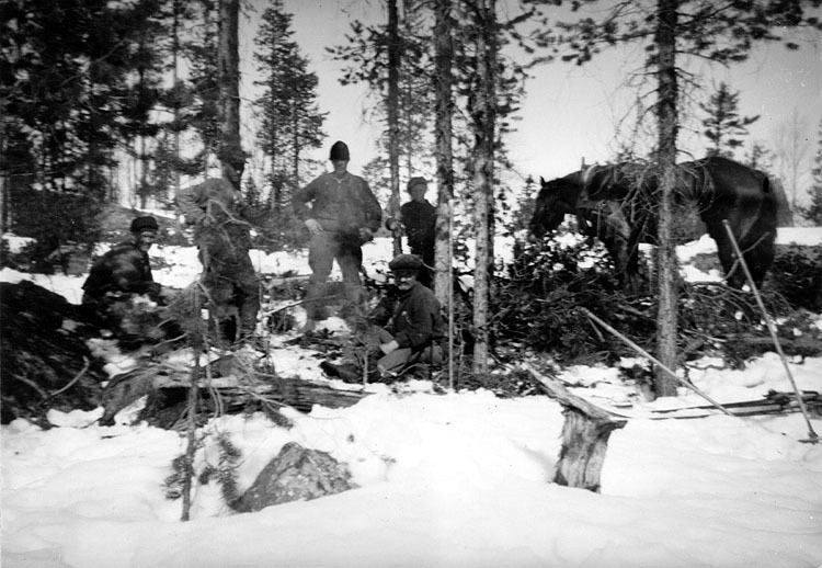 Skogsavverkning vid Bäverselet, 1938. Första fr...