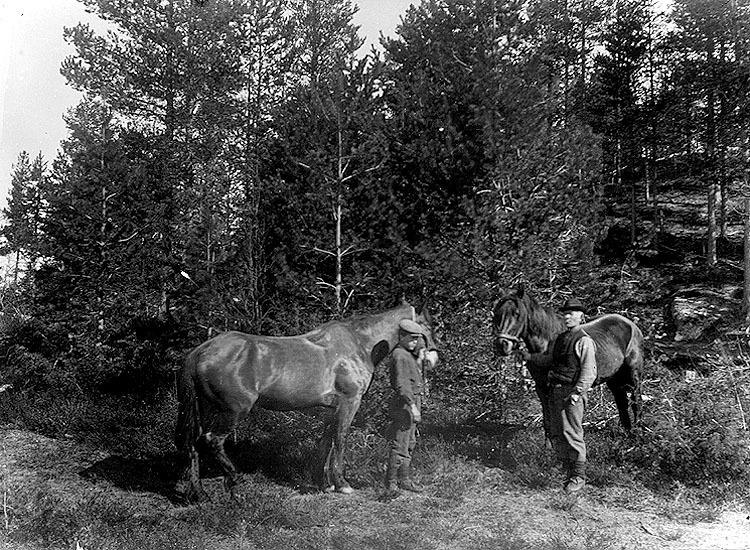 Jonas Lundgren och Ola Lundgren med varsin häst.