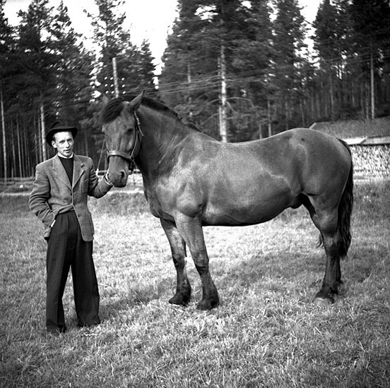 Dahle Gruffman, Böjern med häst.