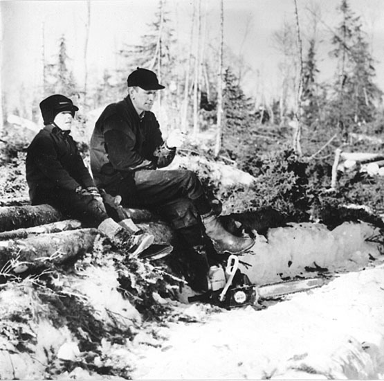 Timmerhuggning i Båttjärnskullen, Järvsjö, 1963...