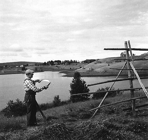 Vy från Dalasjö, 1959.