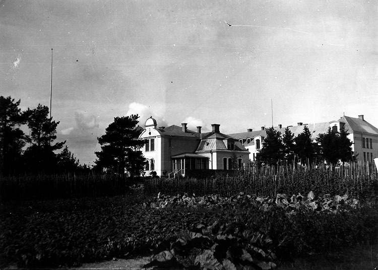Överläkarvillan 1916. Doktorn K H. Giertzträdgård.