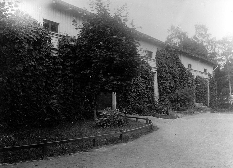 Uthuset utmed norra tomtgränsen, 1916.