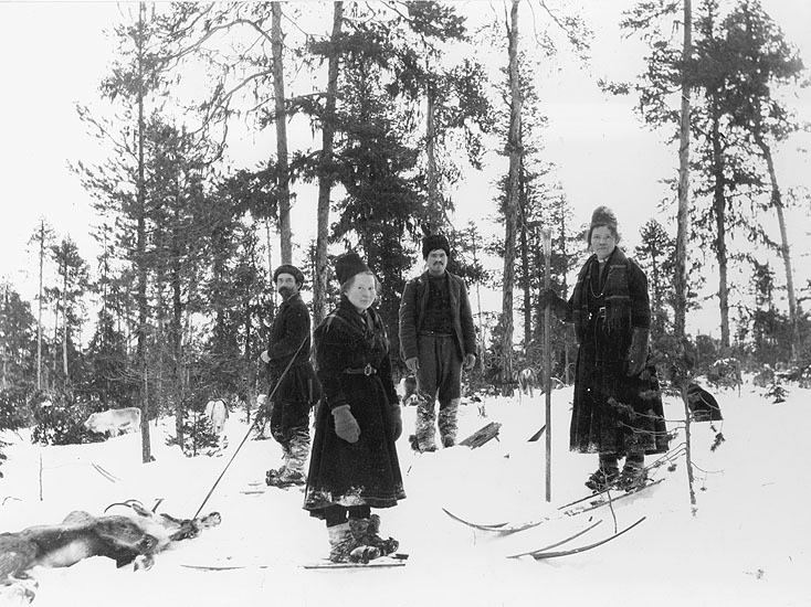 Troligen Platsen Stensele Vintern 1914 vinterbe...