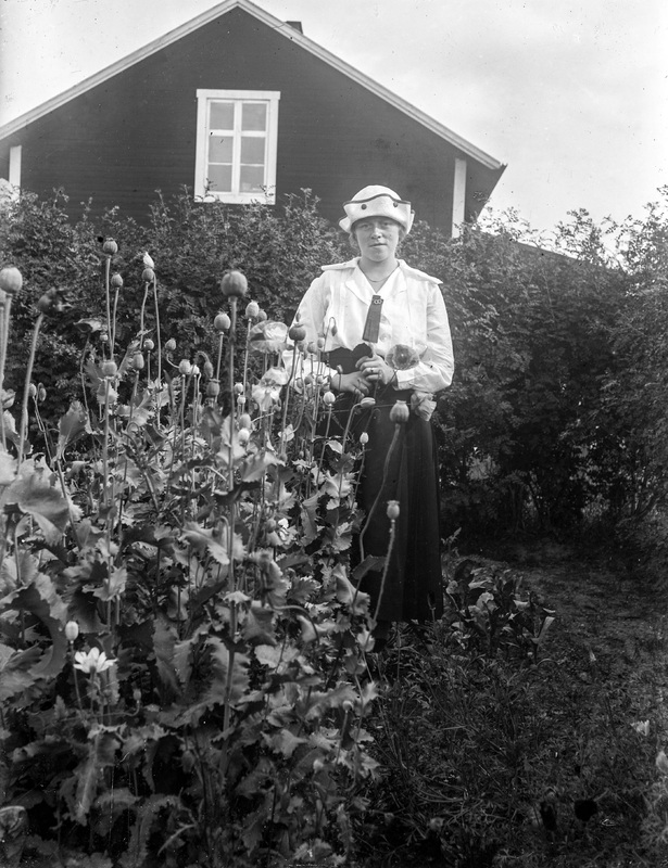 Lotten Johansson Umeå den 21/8 1920