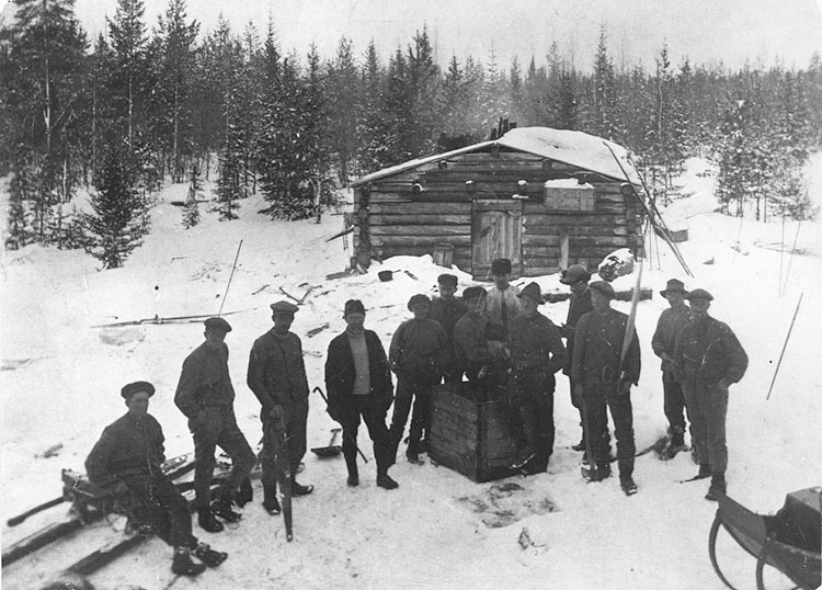 Avverkning 1916 i Moskosel norr om Arvidsjaur, ...