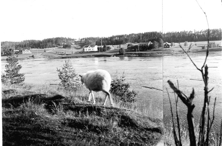 Utsikt över byn från Hednäs.