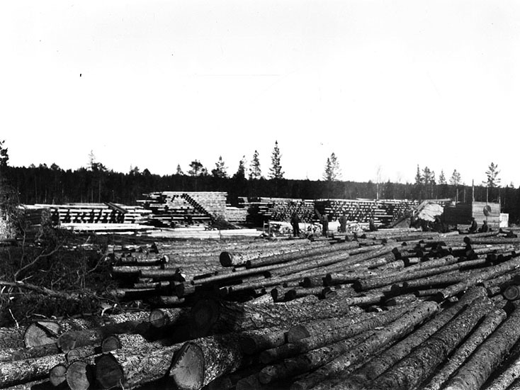 Allmänt. Timmerupplag. Fotot taget 1927.