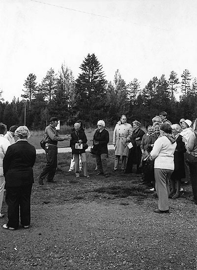 Torvsjökvarnar 1981.