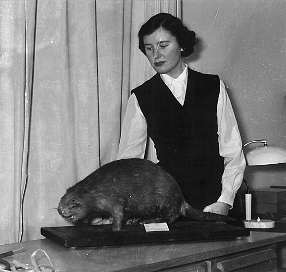 Adjunkt Elisabeth Hérnod, Vilhelmina, 1958.