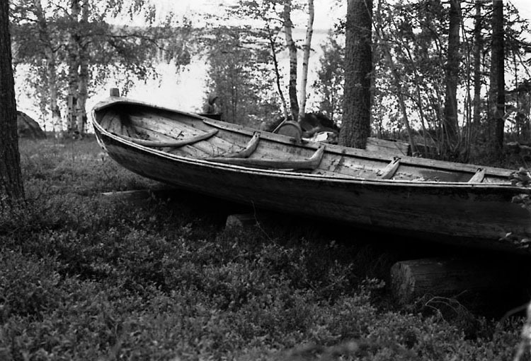 Höbåt från Storsävarträsk. Längd 749 cm. Störst...
